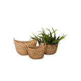 Seagrass Basket