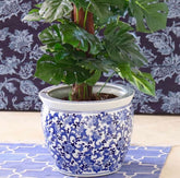 Planter Riviera
