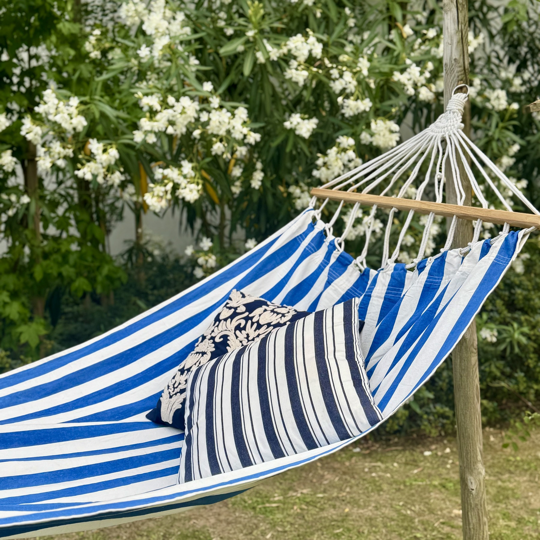 Hammocks